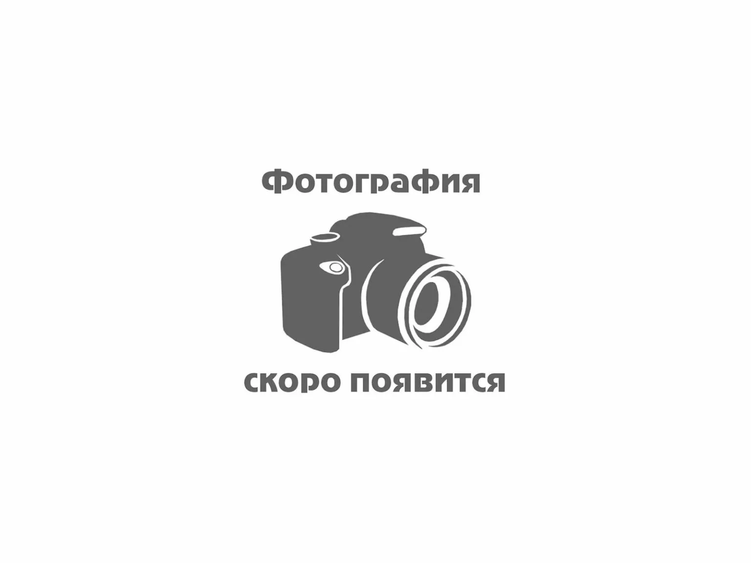 Концевая часть штанги STIHL D 90, 200 мм, 44016821000